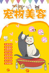 宠物