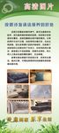 沙发保养