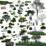 园林风景树植物图集