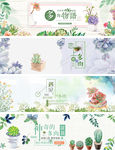 盆栽banner