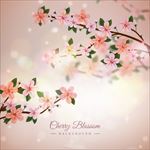 樱花背景