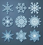 精致 花纹 雪花 矢量素