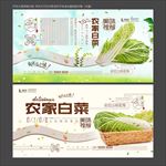 白菜
