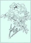 牡丹花线描 牡丹花白描 牡丹花