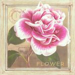 花卉