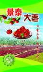 红枣