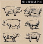 猪矢量素描速写