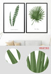 欧式简约小清新手绘植物装饰画