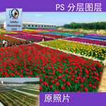 百花园P图