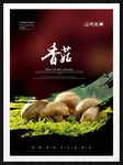 香菇