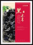 黑木耳