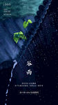 谷雨