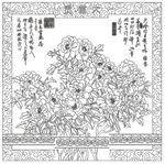 牡丹