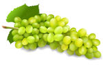 绿葡萄高清矢量图素材葡萄酒青葡