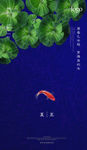 夏至