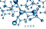 分子背景