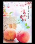 阳山水蜜桃