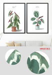 小清新水彩绿色植物盆栽无框画