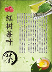 红树莓叶茶