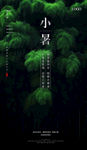 小暑
