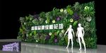 绿植墙