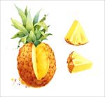 菠萝