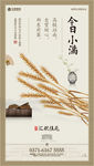 小满 二十四 节气 传统