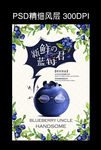 创意蓝莓海报