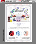莓果草莓焕肤皮肤管理