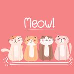 小猫