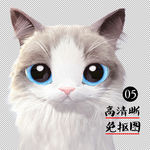 插画猫