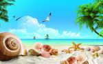 高清大海海鸥海螺背景壁纸