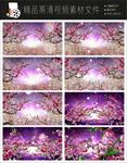 唯美浪漫迷幻欧式紫色花朵视频