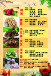 中药展板  健康养生药材展板