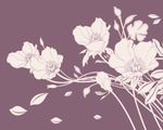 玉兰花 百合花 花 硅藻泥图案