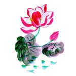 美丽的水彩花卉元素