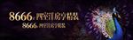 孔雀 宝石 珠宝