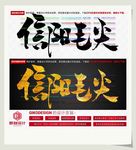 信阳毛尖