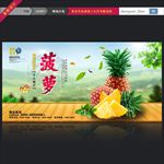 菠萝海报