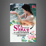 SPA海报