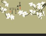 玉兰花矢量 硅藻泥图案