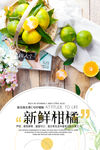 水果海报  海报  促销海报