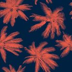 服装纺织图案 衬衣短裤休闲图案
