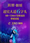 孔雀  盛开 音乐 钢琴  天