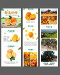 赣州脐橙电商详情页
