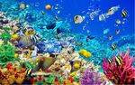 海底世界