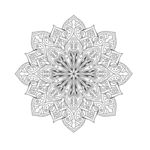 矢量曼陀罗花纹