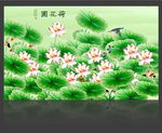 国画荷花