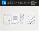 素雅高档标志样机一键贴图