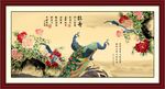 孔雀牡丹图